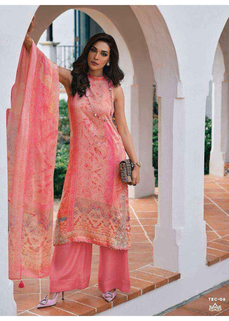 VARSHA THE ELNAZ COLLETION FANCY DESIGNER SUITS