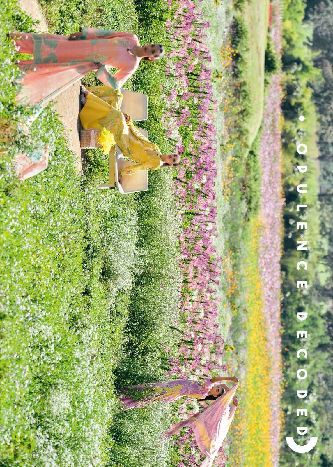 Varsha The Secret Garden Salwar Kameez ( 4 pcs Catalog )
