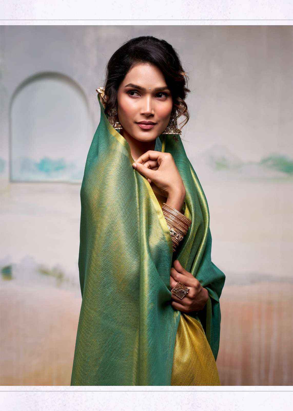 Rajpath Anvika Tissue Silk Saree Collection ( 6 Pcs Catalog )