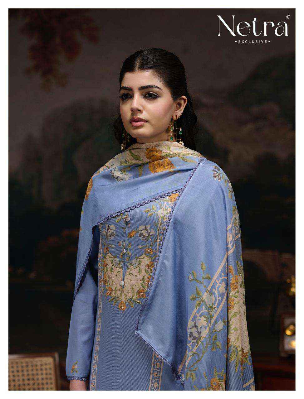 Netra Kristi Pure Cotton Premium Wear Dress _ Wholesale Surat Rate ( 6 Pcs Catalog )