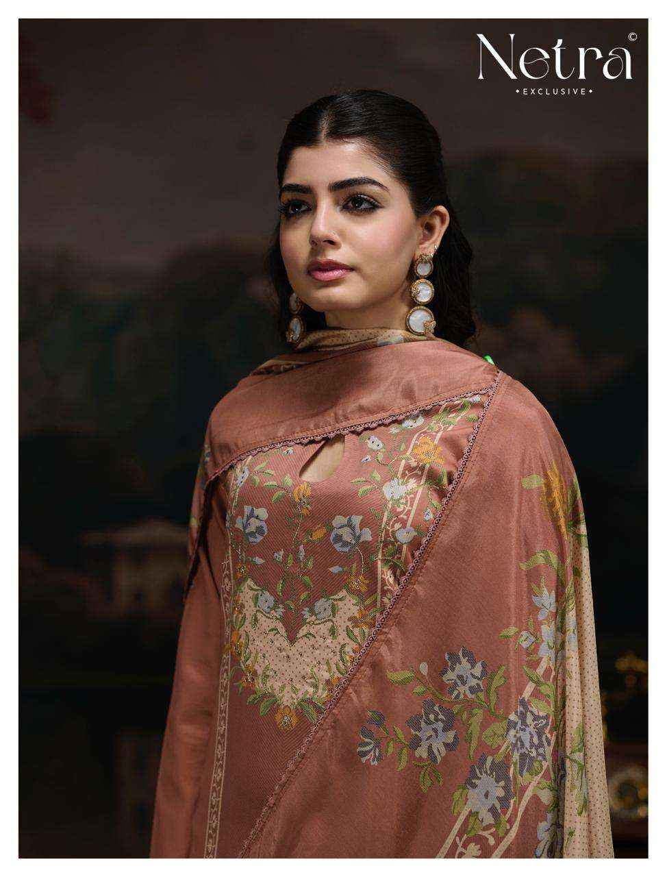 Netra Kristi Pure Cotton Premium Wear Dress _ Wholesale Surat Rate ( 6 Pcs Catalog )